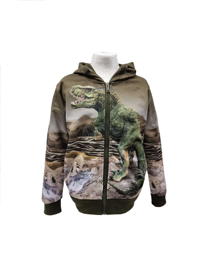 Kinder Sweatjacke Dino
